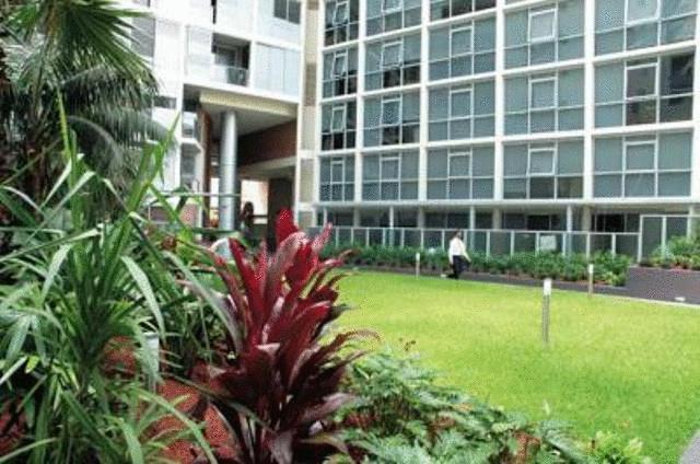 Oaks Harmony Apartment Сидни Екстериор снимка